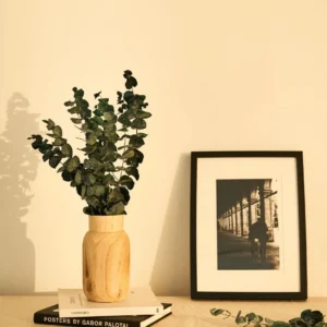 Kuivatatud eukalüpti kimp