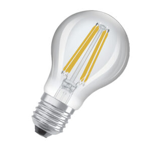 LED lambipirn E27 10W