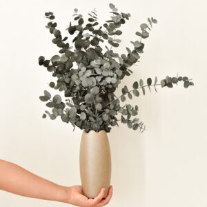 Stabiliseeritud oksad Cinerea roheline