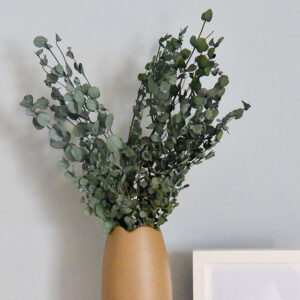 Stabiliseeritud Gunny oksad Roheline