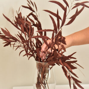 Stabiliseeritud oksad Nicoly Punane