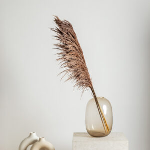 Stabiliseeritud oksad Pampa Pruun