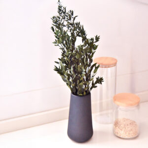 Stabiliseeritud Parvifolia oksad Roheline