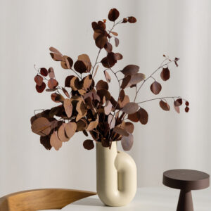 Stabiliseeritud oksad Populus Mokka