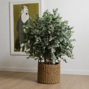 Stabiliseeritud taim "Bush Cinerea tree" 100cm